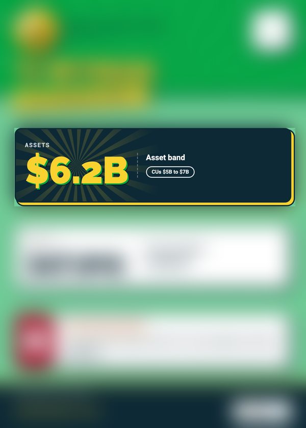A peer card, back with most stats hidden